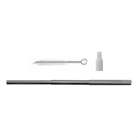 Collapsible Straw Stainless Steel Kit With Brush Cleaner... from ASI 40480...
