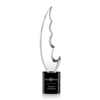 Optical crystal award with frosted finish and black base, 11.75" x... from...
