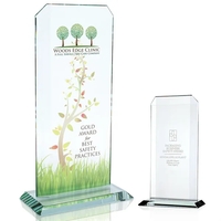 Starfire Echo Award - Large... from ASI 40480 Koozie Group / Norwood