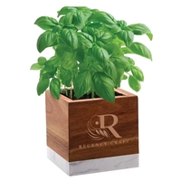 Acacia wood and marble planter set that is great for growing... from ASI...