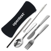 18/8 Stainless Steel Cutlery and Straw Set