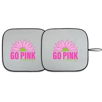 Full Color DX-Line economy sunshades Satin Silver
