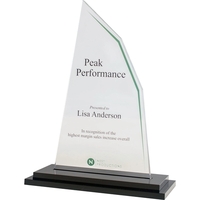 Clear Acrylic Award
