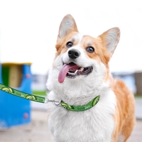 .8" wide polyester dog collar with PMS matched woven polyester and... from...