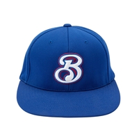 Embroidered Twill Cap