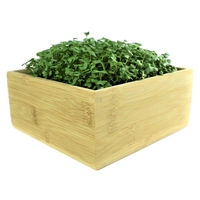 Desktop Micorgreens Grow Kit, perfect for home or office!... from ASI 72657...