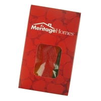 Small Window Box with Assorted Fish