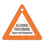 Large Triangle Key Tag