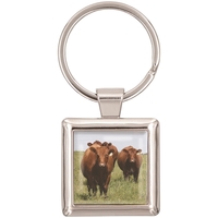 Die cast zinc alloy square keychain with two-sided poly dome imprint... from...