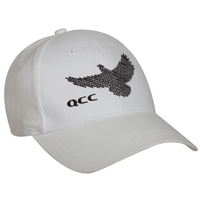 Structured Brushed Cotton Cap With Poly-Snap