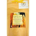 Sequoia Tree Garden GroBag