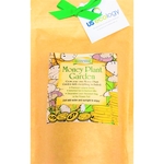 Money Plant Garden GroBag