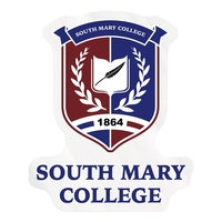 Clear vinyl static cling die cut - static face decal.... from ASI 56950 Gill...