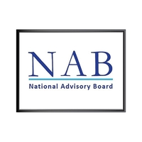 USA Made Dimensional Lapel Pin - Plated Metal