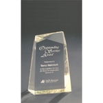 Gold Acrylic Facet Wedge Award