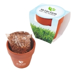 Seed Sensations Terracotta Pot Planter