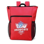 Travel Padded Laptop Backpack