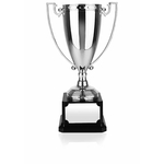 Nickel Plated Award Cup