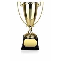 Gold Finish Award Cup