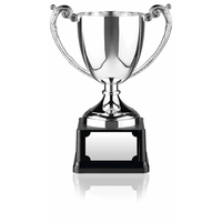 Nickel Plated Award Cup