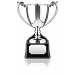 Nickel Plated Award Cup