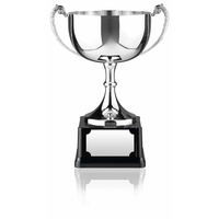 Nickel Plated Award Cup