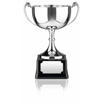 Nickel Plated Award Cup