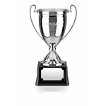 Nickel Plated Award Cup