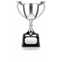 Nickel Plated Award Cup