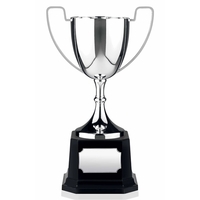 Nickel Plated Award Cup