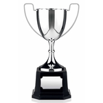 Nickel Plated Award Cup