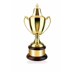 Gold Plated Plain Riviera Award