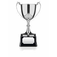 Nickel Plated Advocate Award