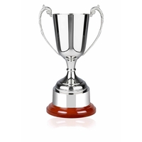 Beautifully crafted formula award... from ASI 65153 Kirk & Matz LTD / Swatkins