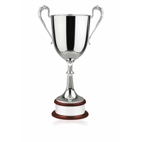 The Colossal Cup Plain Award