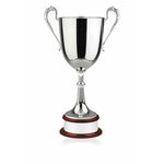 The Colossal Cup Plain Award