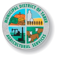 .006 Silver Glitter Vinyl Decal Standard Adhesive Spot Color