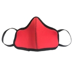 Face Mask Multi-Ply with Elastic Loops - Medium