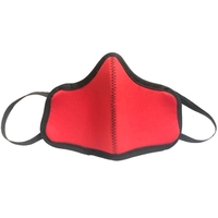 Face Mask Multi-Ply with Elastic Loops - Large