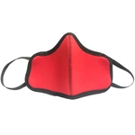 Face Mask Multi-Ply with Elastic Loops - Large