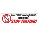 10.75" x 3" Bumper Sticker 4CP