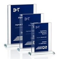 Tameside Award - Blue