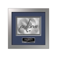 Eldridge Aquashape™ Award - Silver