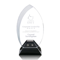 Starfire curved egg shape award on a black base.... from ASI 84592 St Regis...