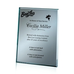 Mirror Plaque - Silver