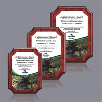 Orsina/AstroSub Plaque - Rosewood 7"x9"... from ASI 84592 St Regis Group / St...