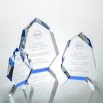 Norwood Award - Blue