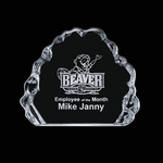 Spence Iceberg Award