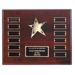 Rising Star Plaque