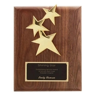 Hand rubbed walnut star plaque with 24K gold electroplated star...